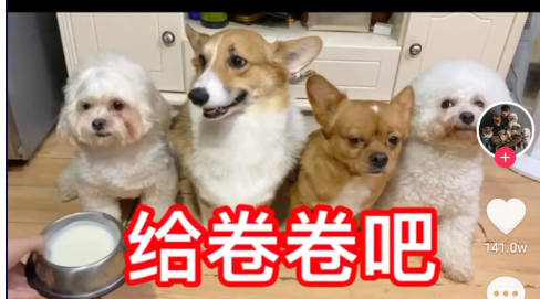 1623824446649713.png