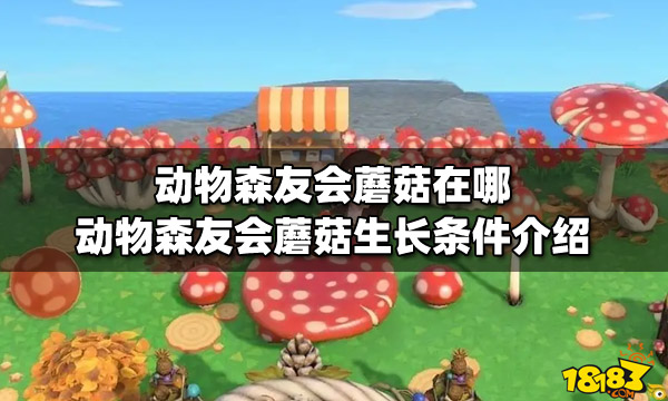 动物森友会蘑菇在哪动物森友会蘑菇生长条件介绍