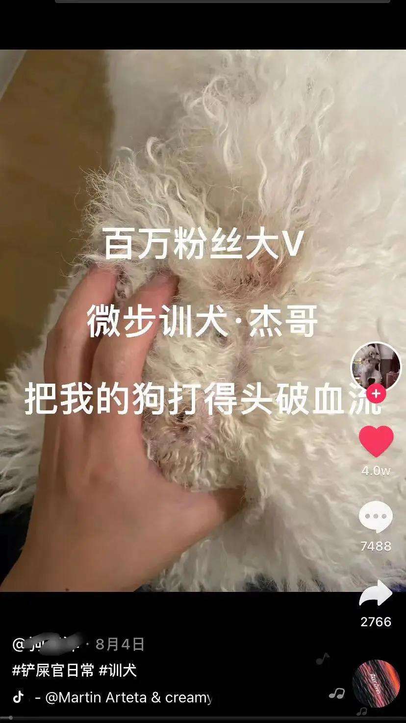 百万粉丝大V网红训犬师虐狗？