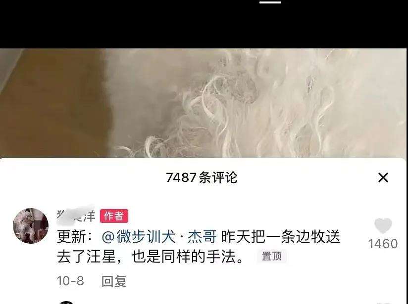 百万粉丝大V网红训犬师虐狗？