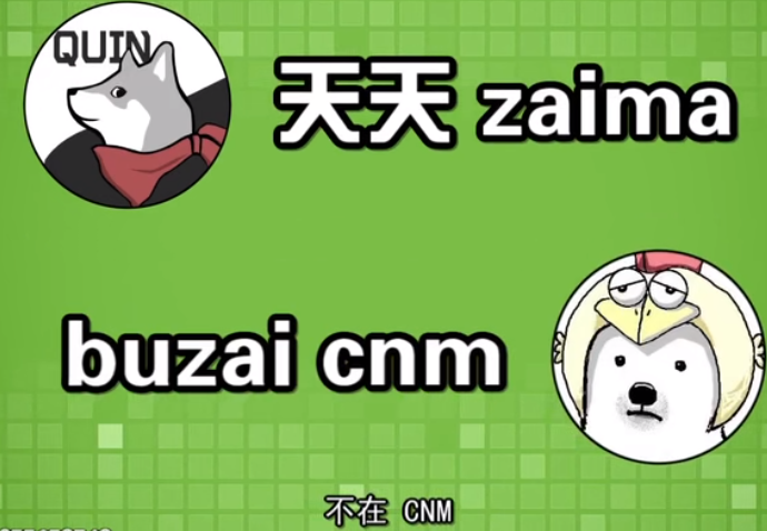 全世界都在讲大秦话？这大秦话到底是个啥？