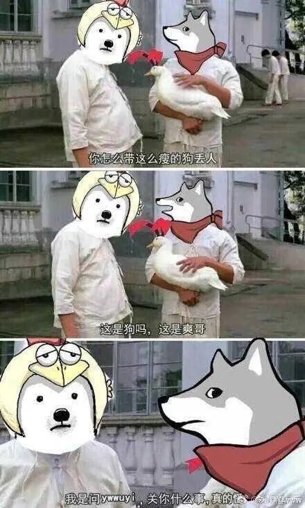 全世界都在讲大秦话？这大秦话到底是个啥？