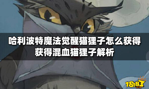 哈利波特魔法觉醒猫狸子怎么获得获得混血猫狸子解析