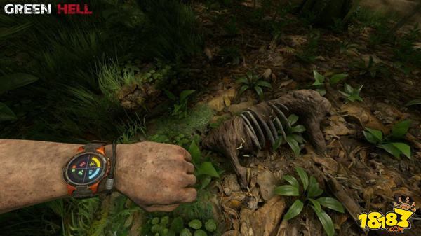 丛林地狱greenhell怎么给弓箭上毒给弓箭上毒流程