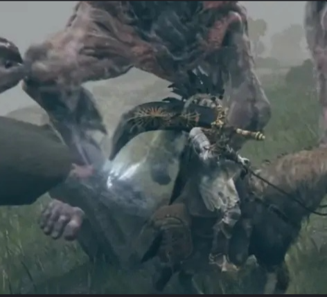 艾尔登法环圣树怎么去