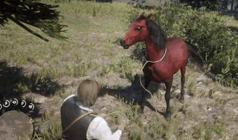 荒野大镖客2玫瑰色阿拉伯马在哪