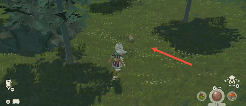 阿尔宙斯木材怎么获得