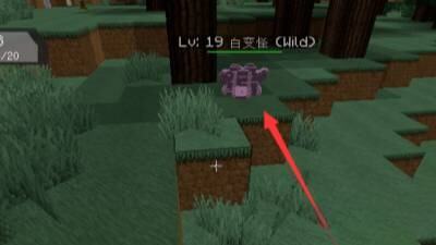 我的世界百变怪在哪里抓