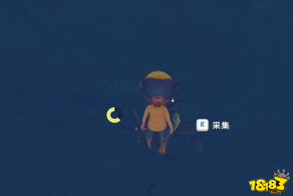 波西亚时光硬木怎么获得