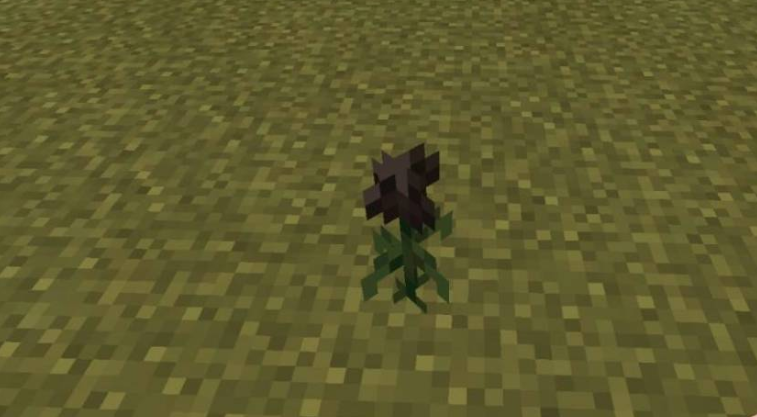 我的世界凋零玫瑰怎么获得