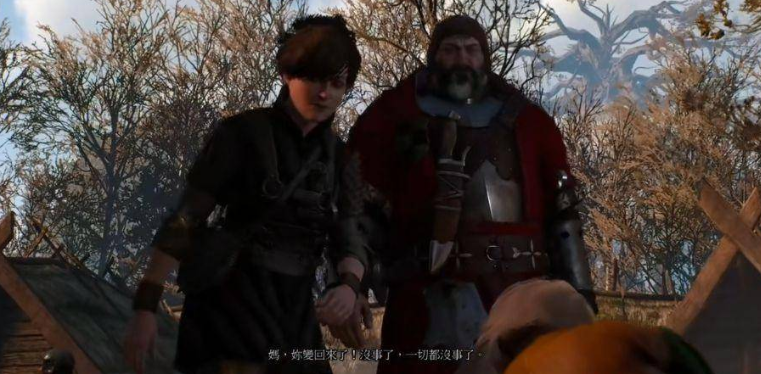 巫师3皇宫5个问题怎么回答