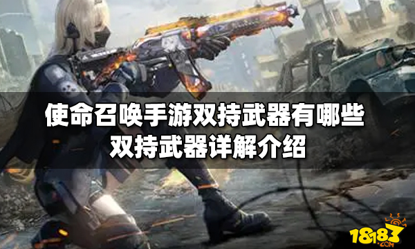 使命召唤手游双持武器有哪些 双持武器详解介绍