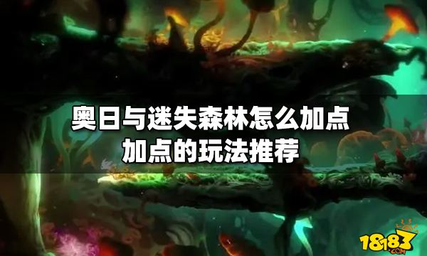 奥日与迷失森林怎么加点 加点的玩法推荐