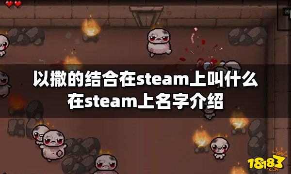 以撒的结合在steam上叫什么 在steam上名字介绍