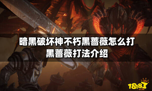 暗黑破坏神不朽黑蔷薇怎么打 黑蔷薇打法介绍