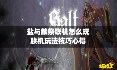 盐与献祭联机怎么玩 联机玩法技巧心得