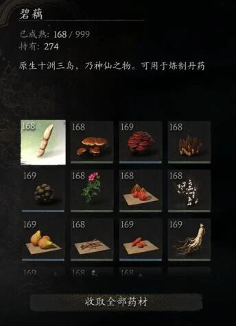 《黑神話：悟空》辰龍藥園優化MOD
