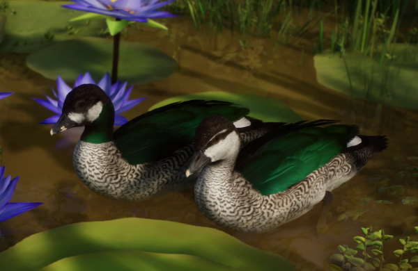 《動物園之星》新增物種綠棉鳧MOD[v1.18]