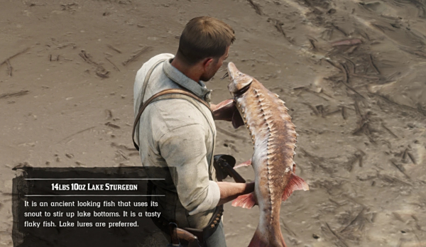 《荒野大鏢客2》解剖魚類MOD