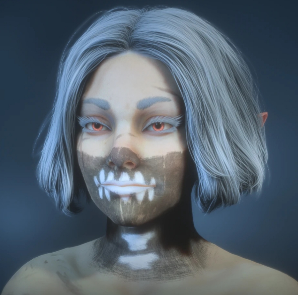 《龍騰世紀(jì)：影障守護(hù)者》月·英格瓦爾女性精靈預(yù)設(shè)MOD