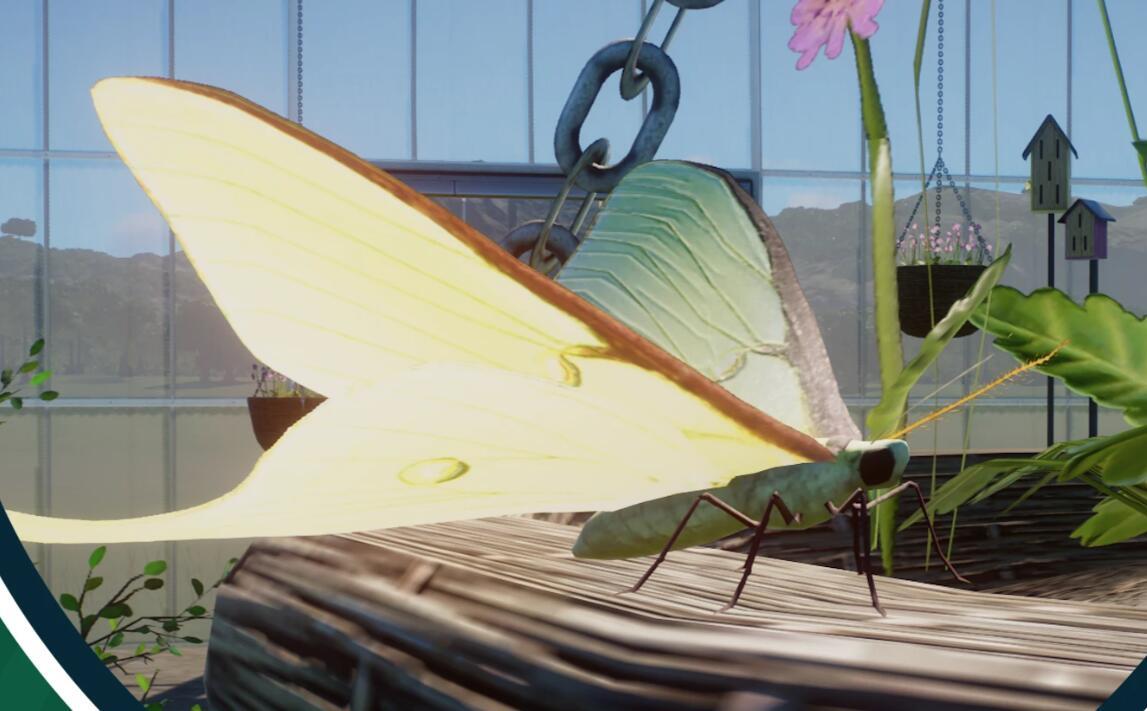 《動物園之星》新增物種月神蛾MOD[v1.18]