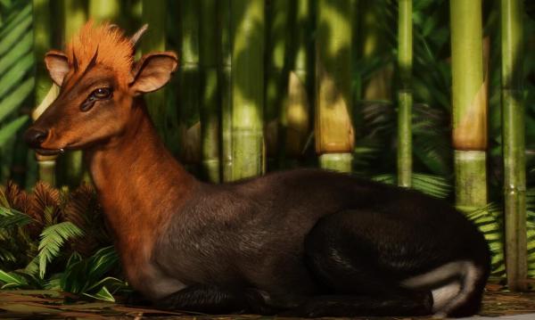 《動物園之星》新增物種黑麂MOD[v1.18]