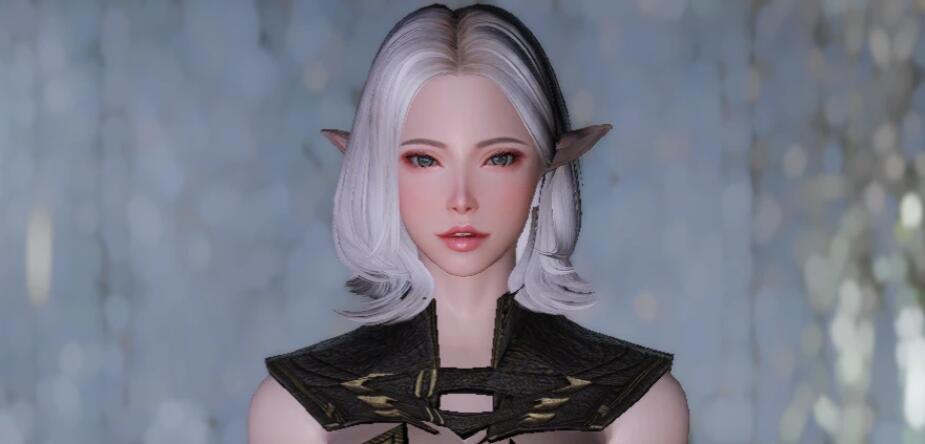 《上古卷軸5：天際重制版》高聚追隨者比安卡MOD