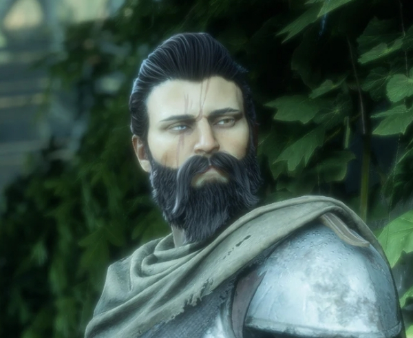 《龍騰世紀(jì)：影障守護(hù)者》威廉-男性人類車兵預(yù)設(shè)MOD