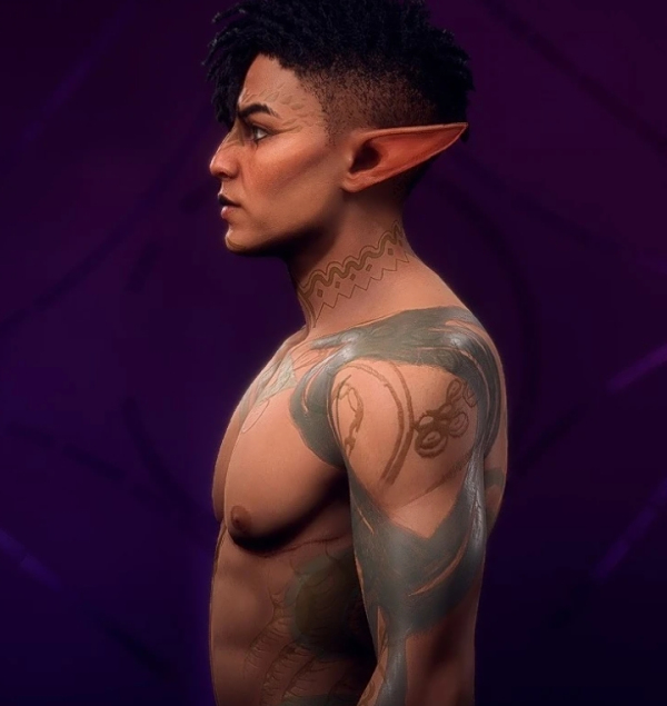 《龍騰世紀:影障守護者》男性精靈車兵預設(shè)MOD