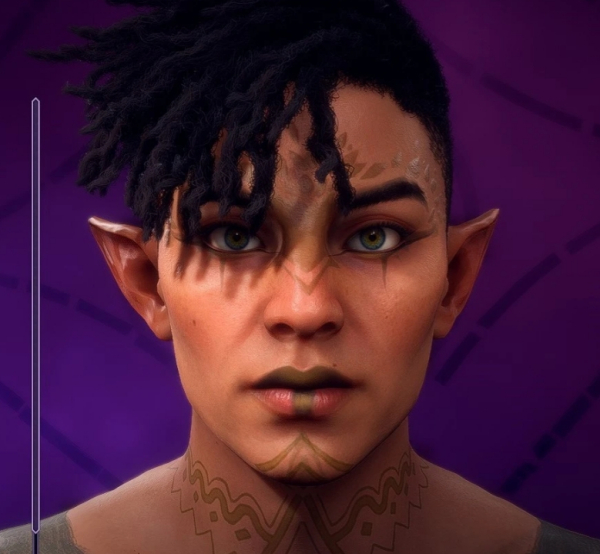 《龍騰世紀:影障守護者》男性精靈車兵預設(shè)MOD