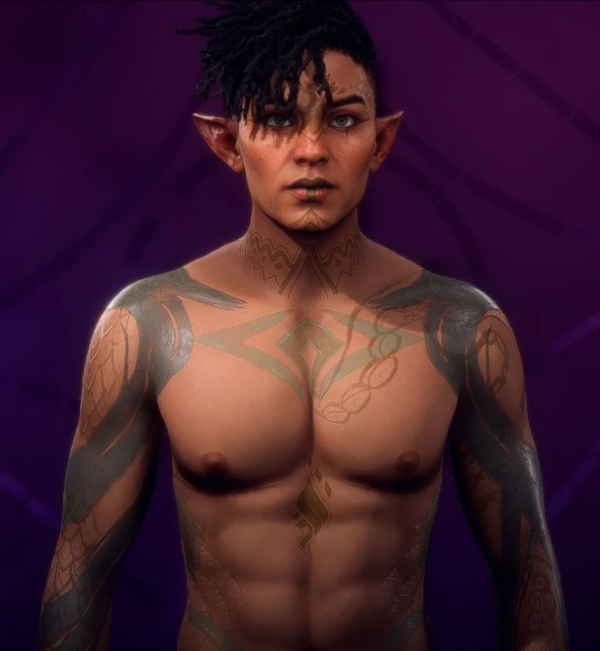 《龍騰世紀:影障守護者》男性精靈車兵預設(shè)MOD