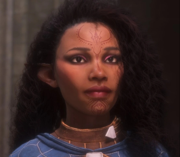 《龍騰世紀(jì)：影障守護(hù)者》Palesa-女性精靈預(yù)設(shè)MOD