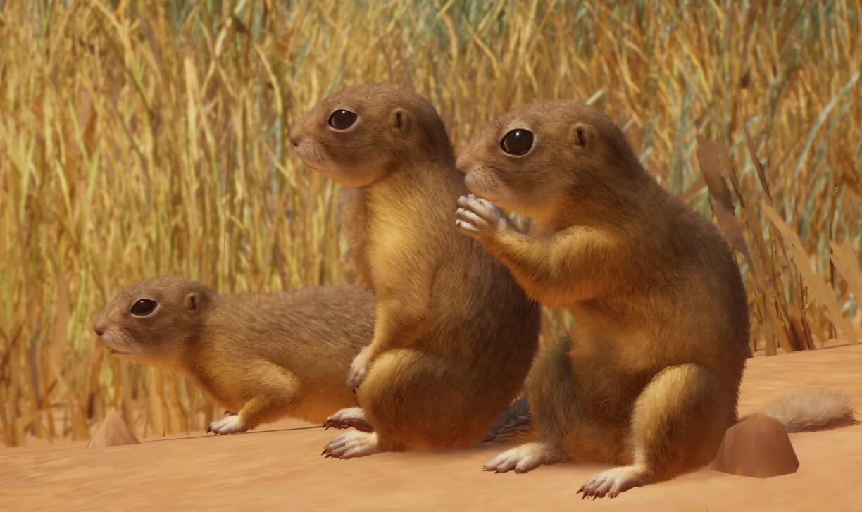 《動物園之星》新增物種歐洲地松鼠MOD[v1.18]