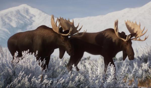 《動物園之星》新增物種懷俄明州駝鹿MOD[v1.18]