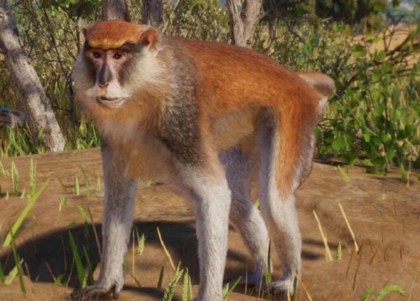 《動物園之星》新增物種赤猴MOD[v1.18]
