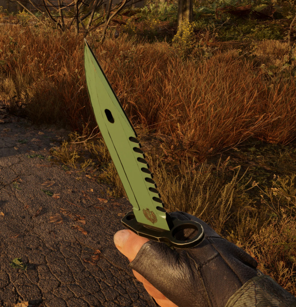 《潛行者2:切爾諾貝利之心》綠刀MOD