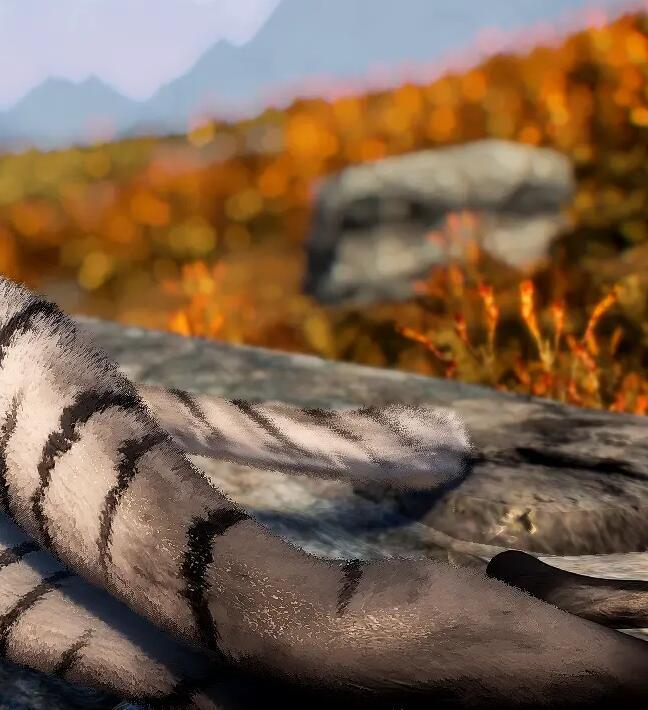 《上古卷轴5:天际重制版》CBBE3BA蓬松卡吉特虎人MOD