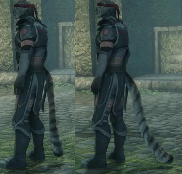 《上古卷軸5：天際重制版》更長的HDTSMP蓬松獸賽尾巴MOD