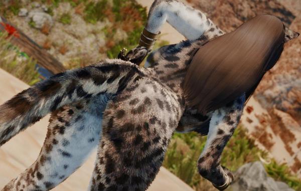 《上古卷軸5:天際重制版》蓬松的虎人與各種貓紋理MOD