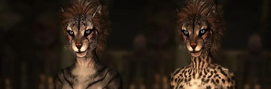 《上古卷軸5:天際重制版》UNP-BHUNP2K女性化灰貓豹MOD