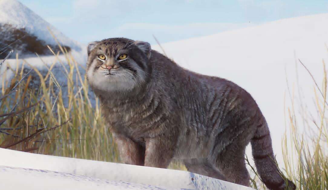 《動物園之星》新增物種兔猻MOD