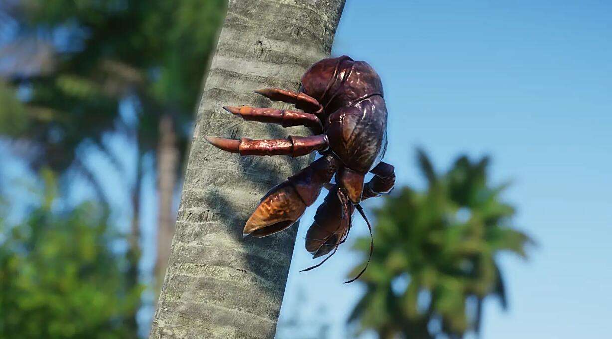 《動物園之星》新增物種椰子蟹MOD