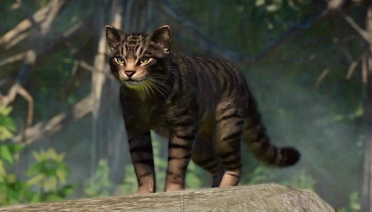 《動物園之星》新增物種蘇格蘭野貓MOD