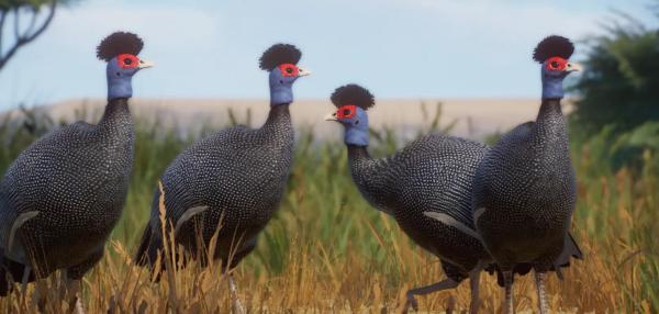 《動物園之星》新增物種東非冠珠雞MOD