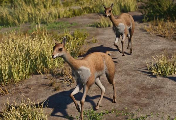 《動物園之星》新增物種駱馬MOD