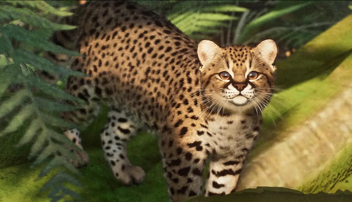 《動物園之星》新增物種南美林虎貓MOD