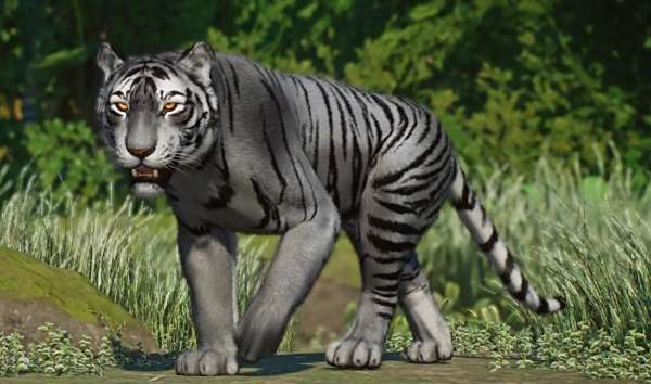 《動物園之星》新增物種孟加拉虎MOD