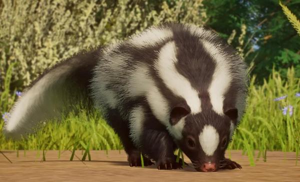 《動物園之星》新增物種斑臭鼬MOD