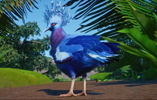 《動物園之星》新增物種維多利亞鳳冠鳩MOD