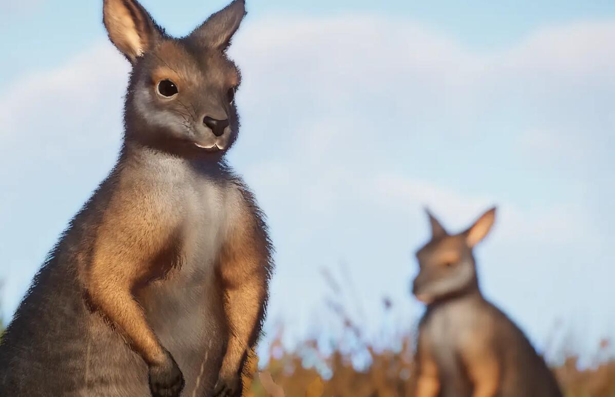 《動物園之星》新增物種塔馬爾沙袋鼠MOD